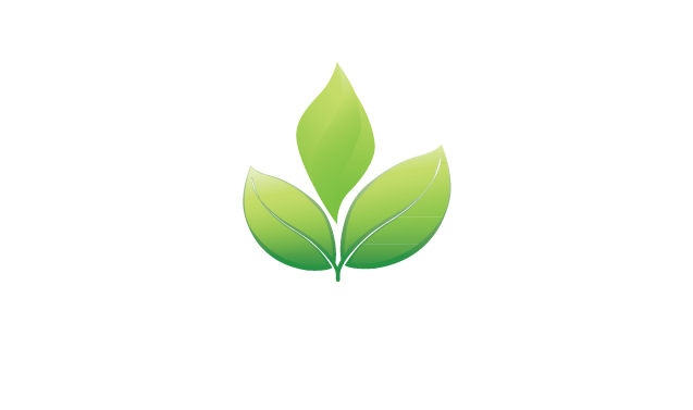 Žaliosios politikos institutas, NGO (Zaliosios politikos institutas); Institute of Green Policy